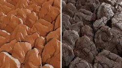 Tectonic Rock Plates Game Textures Texture
