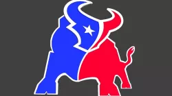 Texans NFL logo 3D model