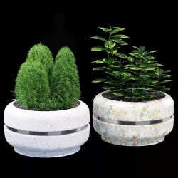 Timeless 1220 3D model