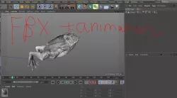 Toad 3d modul fbx  c4d  sell of  3D model