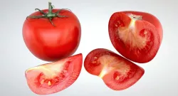 Tomato Low-poly  3D model