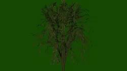 Tree - 3D model