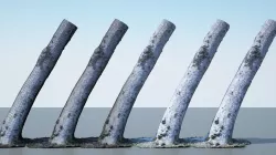 Tree Trunk - 01 3D model