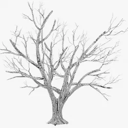 Tree Winter 3D model