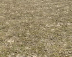 Tundra grass terrain pack Texture