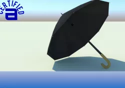 UMBRELLA 3D model