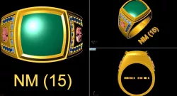 USA RINGS 3D model