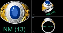 USA RINGS 3D model
