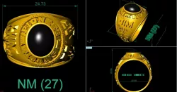USA RINGS 3D model