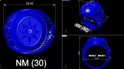 USA RINGS 3D model