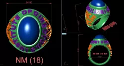 USA RINGS 3D model