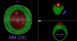 USA RINGS 3D model