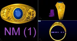 USA RINGS 3D model