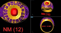 USA RINGS 3D model