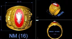 USA RINGS 3D model