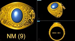 USA RINGS 3D model
