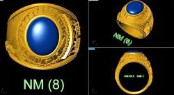 USA RINGS 3D model