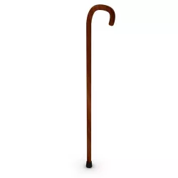 Walking Stick 3D model