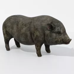 Wild boar 3D model