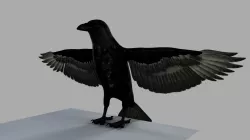 3D Crow 3D model