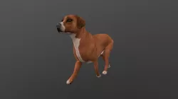 ANML-007 Dog Animated 3D model