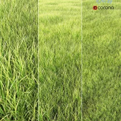 arch grass 3D model