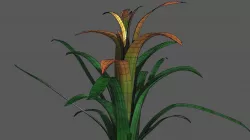Bromeliaceae planta bromelia plant 3D model