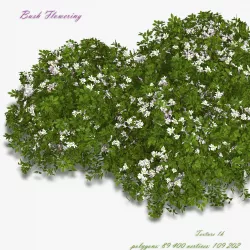  Bush Flowering 3D model