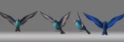 cartoon bird animation role 3D model