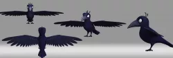 cartoon crow bird animation role 3D model