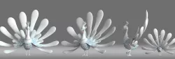 cartoon Peacock bird animation role 3D model