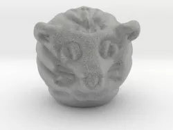 cat head