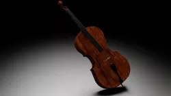 Cello 3D model
