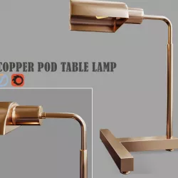 Copper Pod 3D model