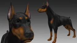 Doberman Pinscher Dog 3D model