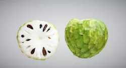 Exotic fruit Cherymoya 3D model