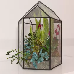 Floriana Plant 3D model