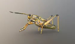 Grasshopper  3D model