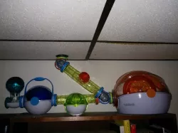 Habitrail Mousetrap