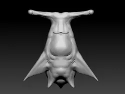 Hammer Shark 3D model