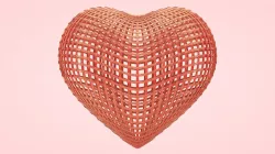Heart Cage 3D model