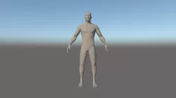 human 3D model