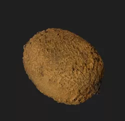 Kiwi Scan Low-poly  3D model