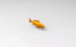 koi fish  3D model