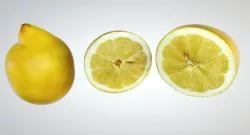 Lemon Low-poly  3D model