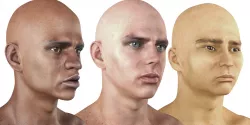 Men of three main nationalities races rigged lowpoly models 3D Model Collection