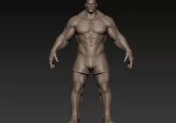 Muscular Man Basemesh 3D model