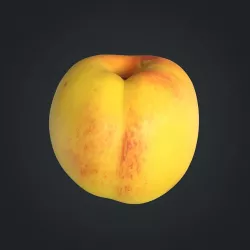 Nectarine A Low-poly  3D model