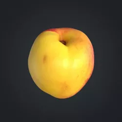 Nectarine C Low-poly  3D model