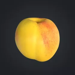 Nectarine E Low-poly  3D model